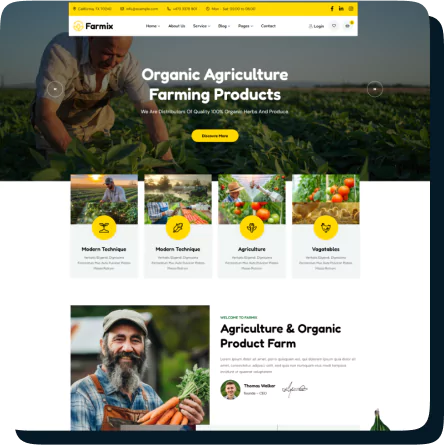 Case Study 6